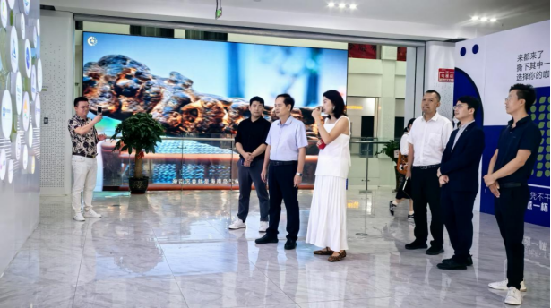 海口市政协副主席吴优深入包联企业走访调研到海南自贸港人才发展