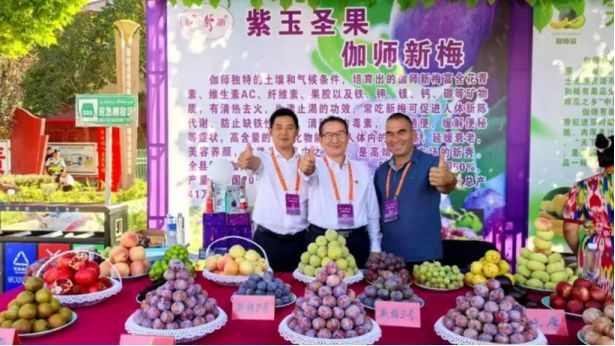 科技赋能 品质为王——伽师新梅种植户阿力木·伊明荣膺2025